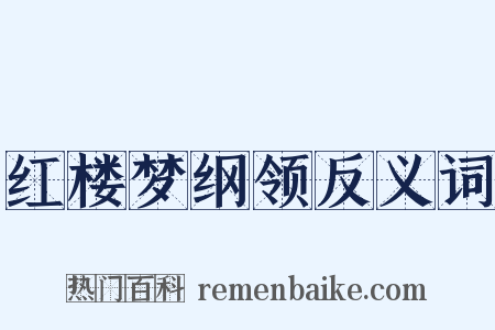 红楼梦纲领反义词是什么意思的图片